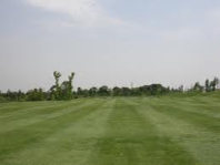 Green & Fairway Drainage Work